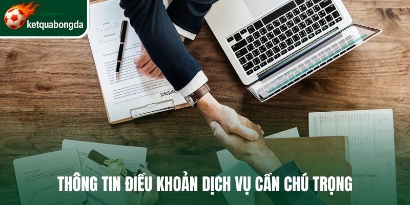 Thông tin điều khoản dịch vụ cần chú trọng 