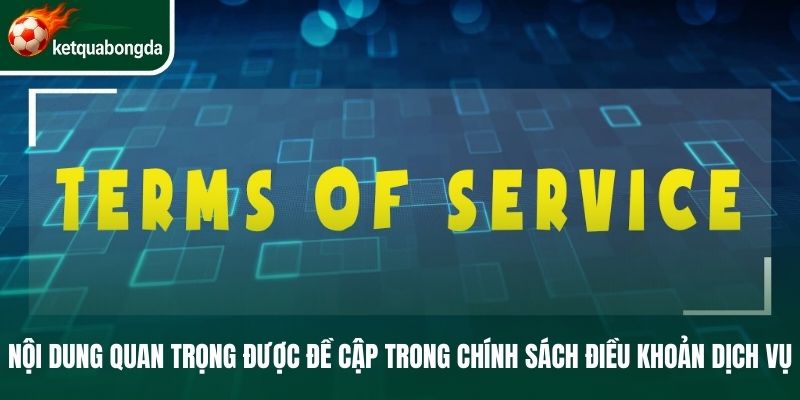 Nội dung quan trọng được đề cập trong chính sách điều khoản dịch vụ