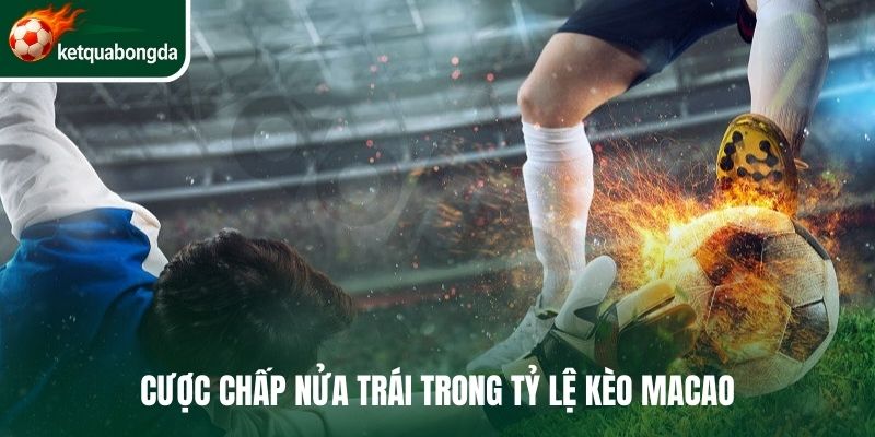 Cược chấp nửa trái trong tỷ lệ kèo macao