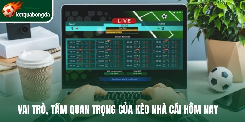 Vai trò, tầm quan trọng của kèo nhà cái hôm nay 