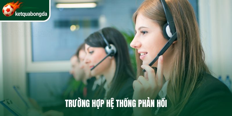 Trường hợp phản hồi liên hệ
