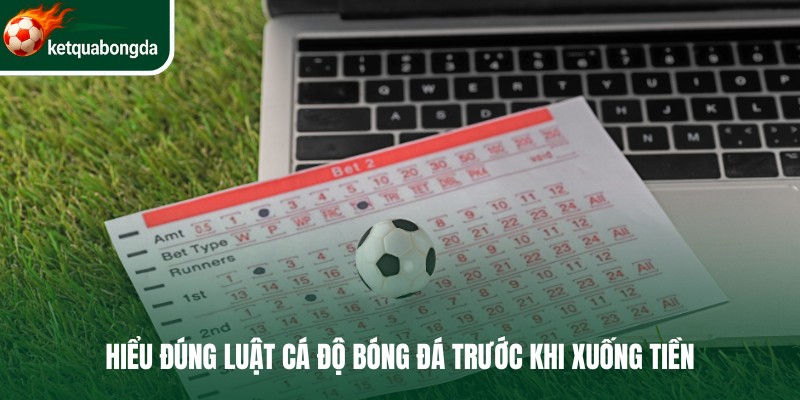 Hiểu đúng luật cá độ bóng đá trước khi xuống tiền
