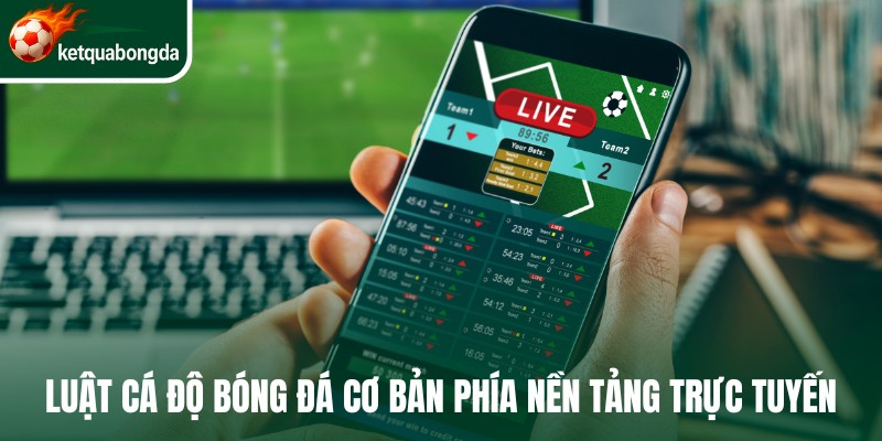 Luật cá độ bóng đá cơ bản phía nền tảng trực tuyến