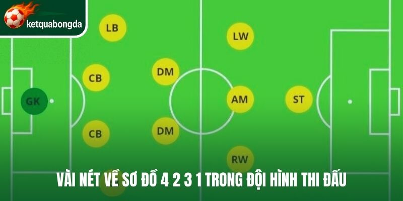 Vài nét về sơ đồ 4 2 3 1 trong đội hình thi đấu