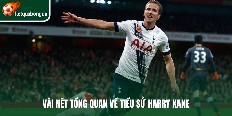 Vài nét tổng quan về tiểu sử Harry Kane