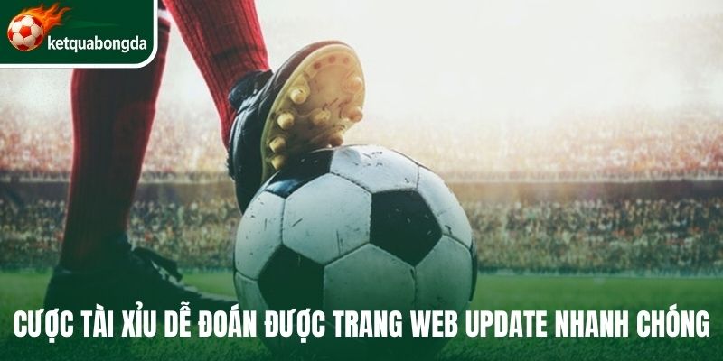Cược tài xỉu dễ đoán được trang web update nhanh chóng