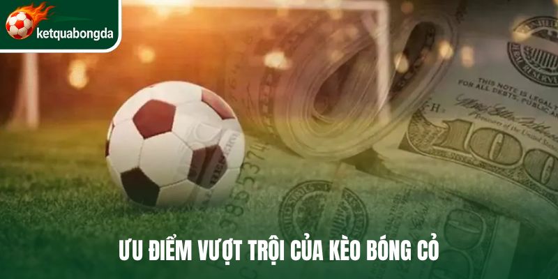 Ưu điểm vô cùng nổi bật