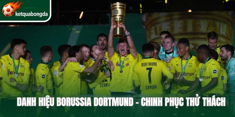 Danh hiệu Borussia Dortmund