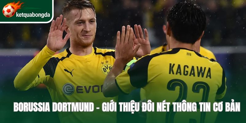 Borussia Dortmund - Giới thiệu đôi nét thông tin cơ bản