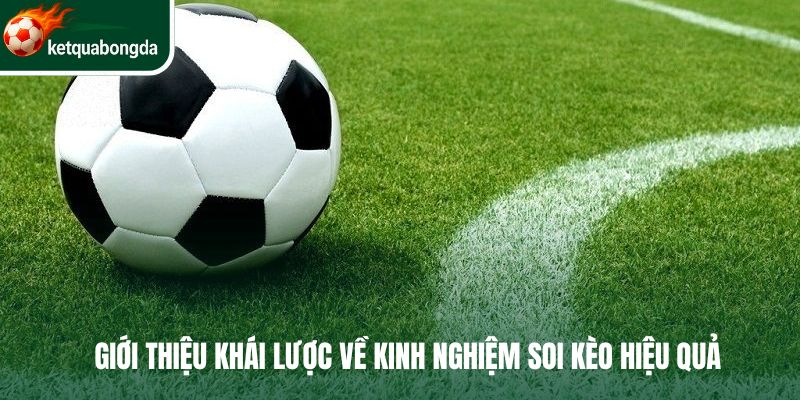 Giới thiệu khái lược về kinh nghiệm soi kèo hiệu quả
