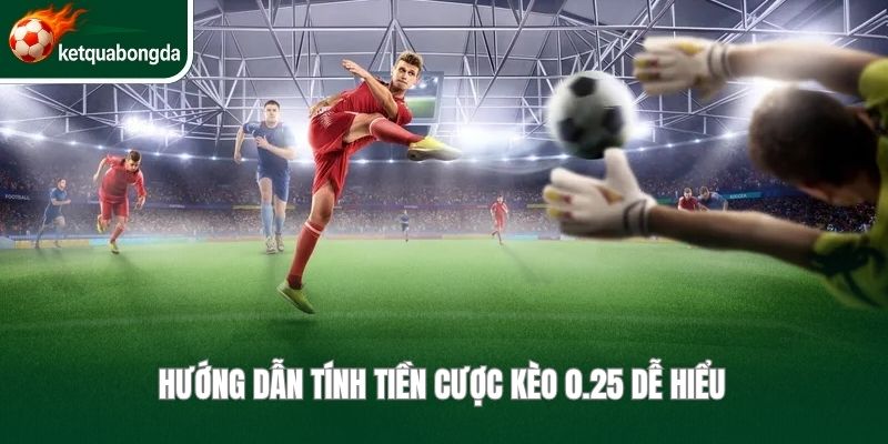 Hướng dẫn tính tiền cược kèo 0.25 dễ hiểu 