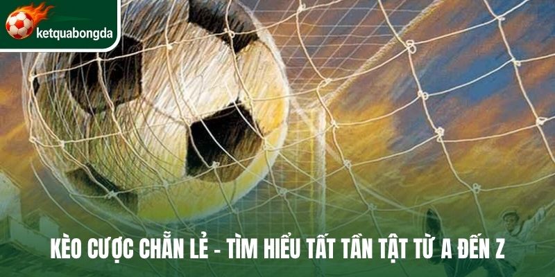 Kèo cược chẵn lẻ