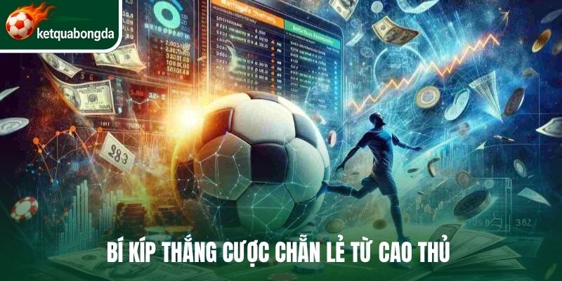 Bí kíp thắng cược chẵn lẻ từ cao thủ 