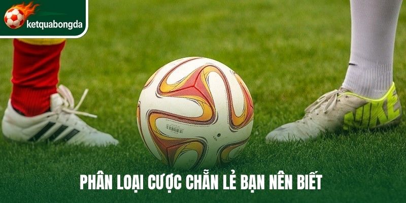 Phân loại cược chẵn lẻ bạn nên biết 