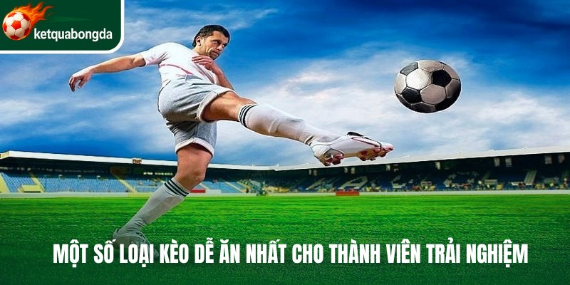 Một số loại kèo dễ ăn nhất cho thành viên trải nghiệm