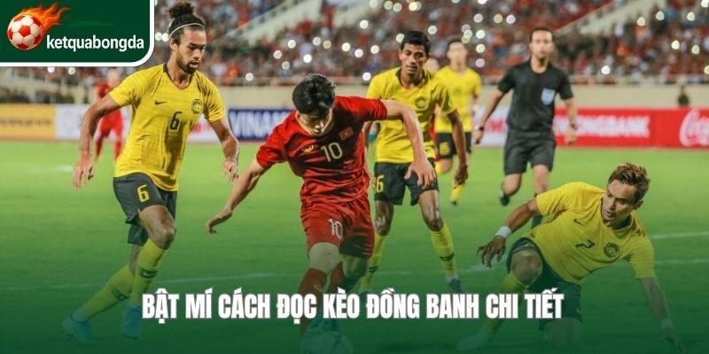 Bật mí cách đọc kèo đồng banh chi tiết 