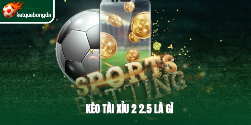 Kèo Tài Xỉu 2 2.5 Là Gì