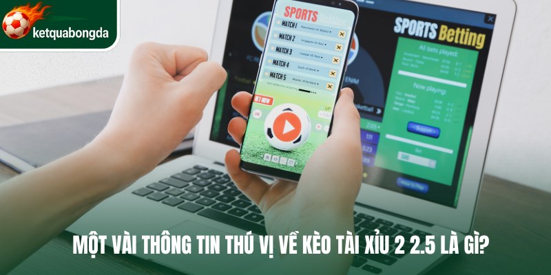 Một vài thông tin thú vị về kèo tài xỉu 2 2.5 là gì?