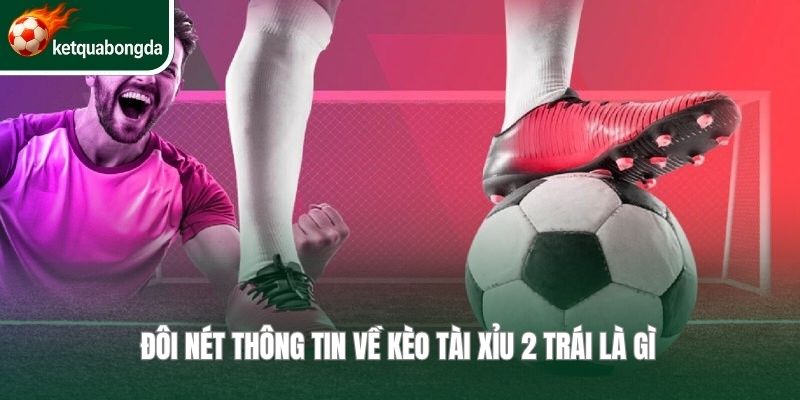 Đôi nét thông tin về kèo tài xỉu 2 trái là gì 