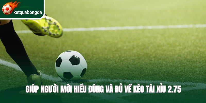 Giúp người mới hiểu đúng và đủ về kèo tài xỉu 2.75