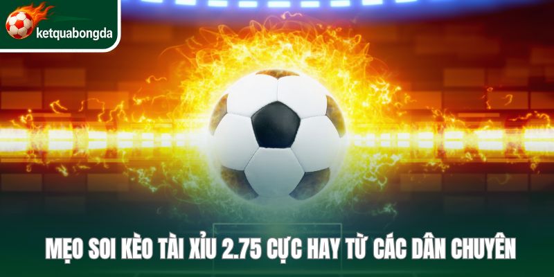 kèo tài xỉu 2.75
