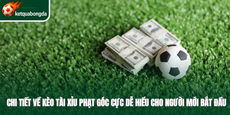 Chi tiết về kèo tài xỉu phạt góc cực dễ hiểu cho người mới bắt đầu