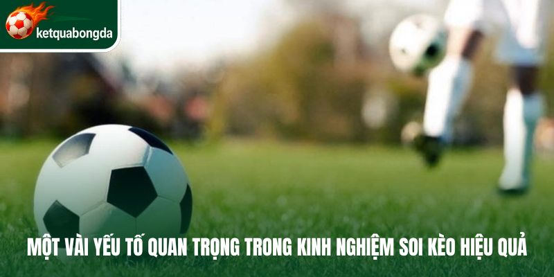 Một vài yếu tố quan trọng trong kinh nghiệm soi kèo hiệu quả