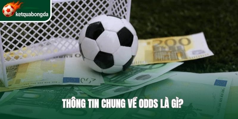 Thông tin chung về Odds là gì?