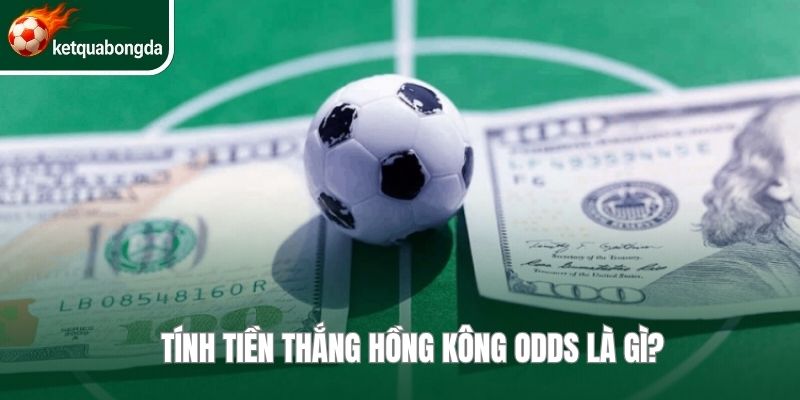 Tính tiền thắng Hồng Kông Odds là gì?