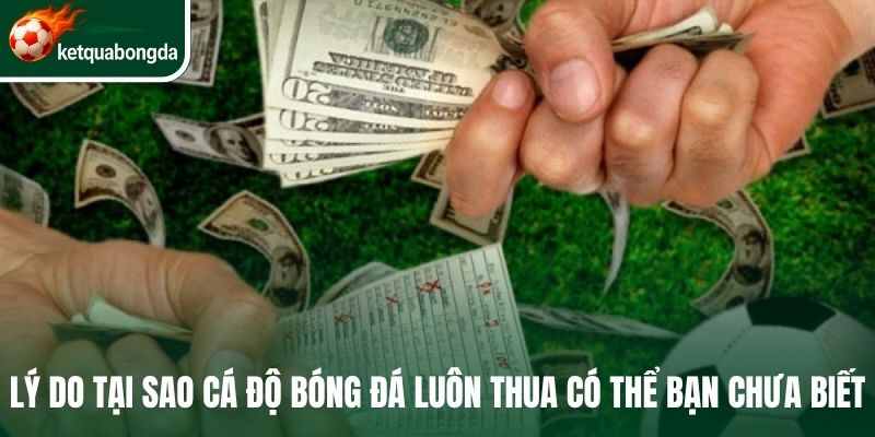 Tại Sao Cá Độ Bóng Đá Luôn Thua