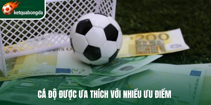 Cá độ được ưa thích với nhiều ưu điểm 