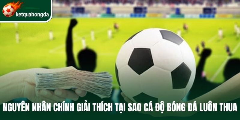 Nguyên nhân chính giải thích tại sao cá độ bóng đá luôn thua