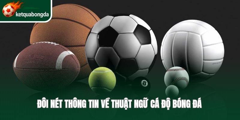 Đôi nét thông tin về thuật ngữ cá độ bóng đá 