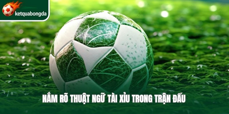 Nắm rõ thuật ngữ tài xỉu trong trận đấu 