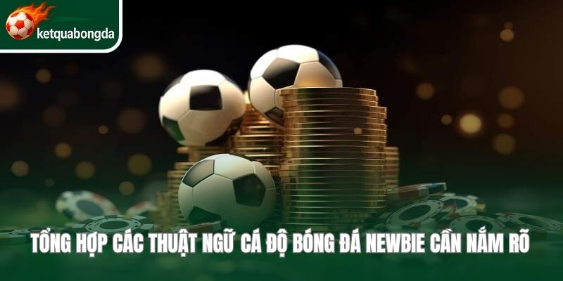 Thuật ngữ cá độ bóng đá